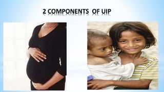 2 COMPONENTS OF UIP
 