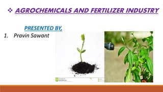  AGROCHEMICALS AND FERTILIZER INDUSTRY
PRESENTED BY,
1. Pravin Sawant
 