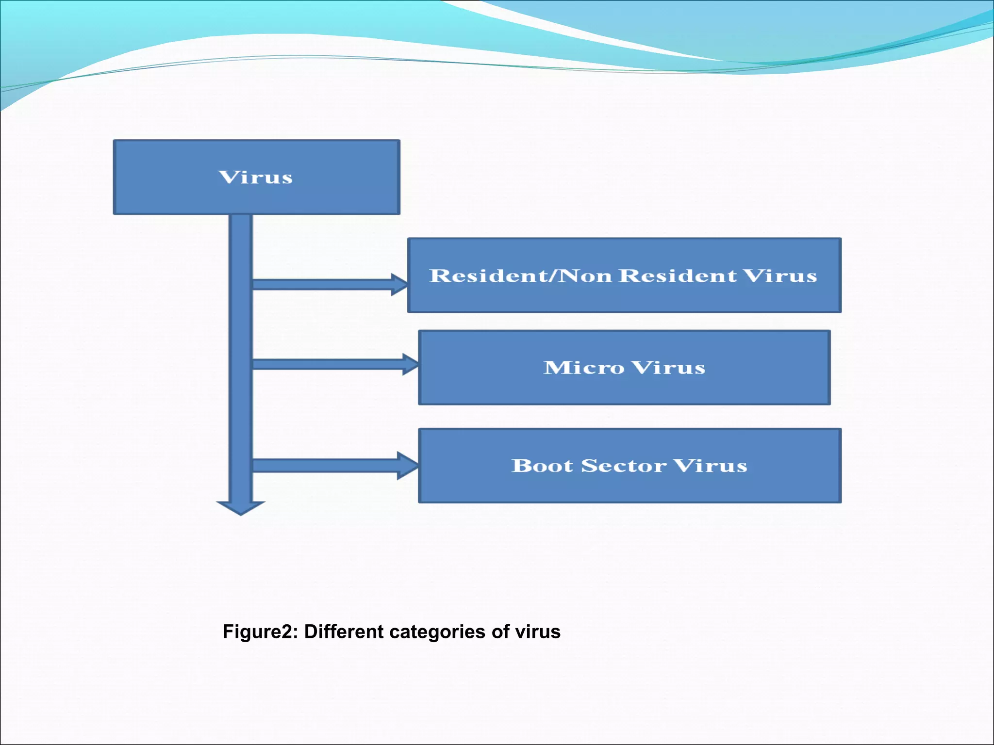 Figure2: Different categories of virus
 