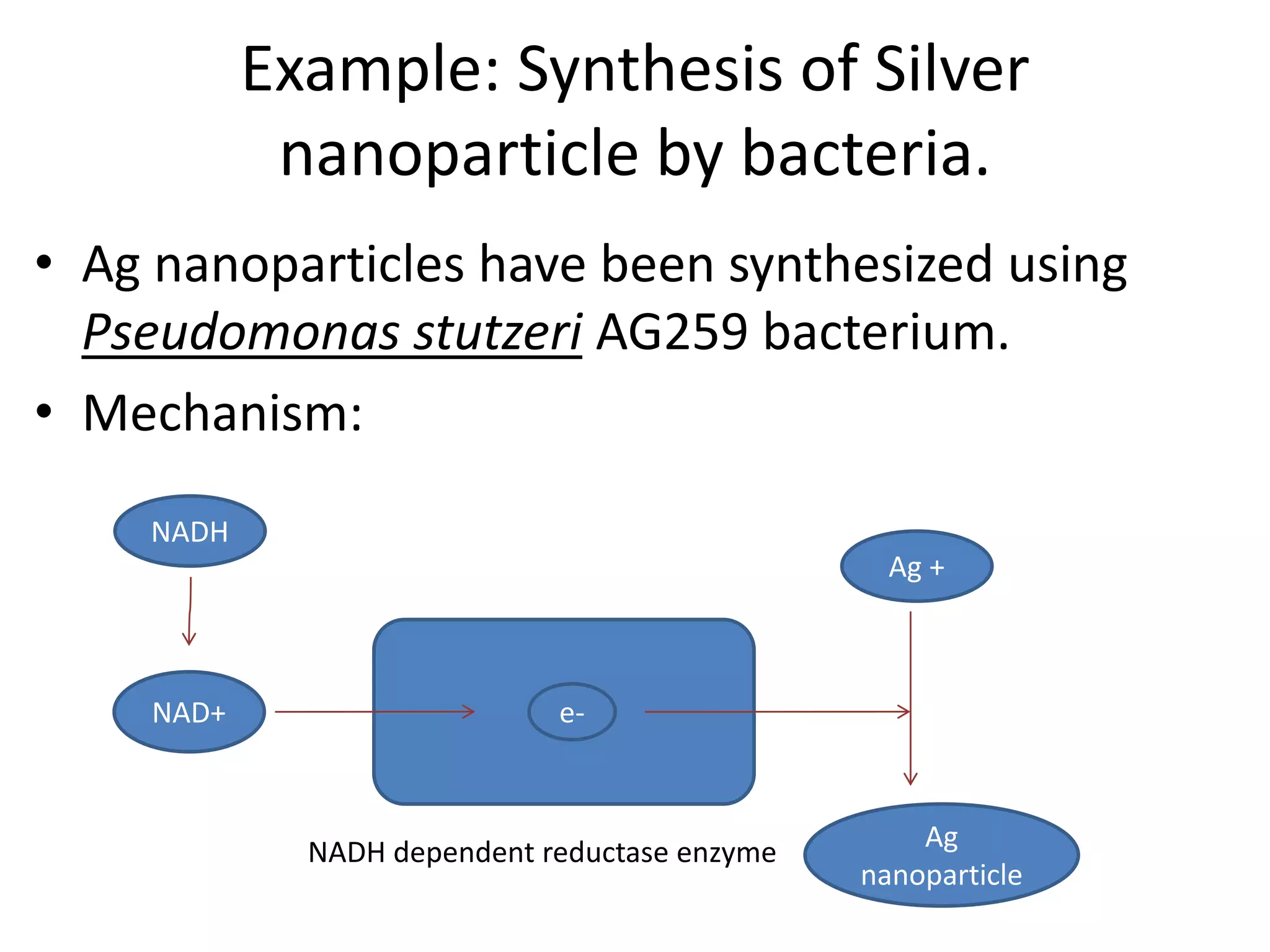 Example: Synthesis of Silver
nanoparticle by bacteria.
• Ag nanoparticles have been synthesized using
Pseudomonas stutzeri AG259 bacterium.
• Mechanism:
NADH
NAD+ e-
NADH dependent reductase enzyme
Ag +
Ag
nanoparticle
 