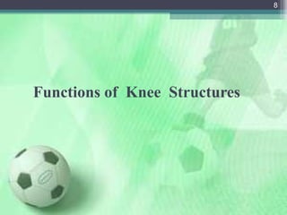 Knee Injuries In Detail | PPT