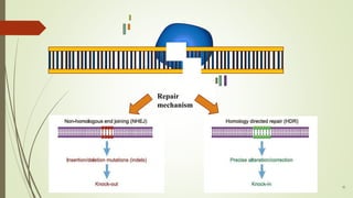 11
Repair
mechanism
 