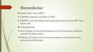 Biomedicine:
 Epstein Barr Virus (EBV)
 CRISPR eradicate viral DNA of EBV
 CRISPR is an Anti-herpesvirus removing cancer causing EBV from
tumor cells
 Transplantation
 Gene editing of mismatched humans or even non human mammals
as potential organ donors
 Editing will reduce risk of immune responses and rejection when
using mismatched organ
 