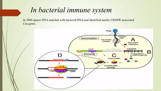 In bacterial immune system
In 2000 spacer DNA matched with bacterial DNA and identified nearby CRISPR associated
Cas genes.
 