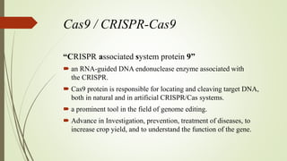 Cas9 / CRISPR-Cas9
“CRISPR associated system protein 9”
 an RNA-guided DNA endonuclease enzyme associated with
the CRISPR.
 Cas9 protein is responsible for locating and cleaving target DNA,
both in natural and in artificial CRISPR/Cas systems.
 a prominent tool in the field of genome editing.
 Advance in Investigation, prevention, treatment of diseases, to
increase crop yield, and to understand the function of the gene.
 