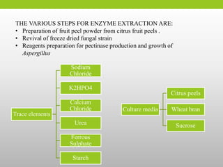 Final Bachelors Project ppt | PPTX
