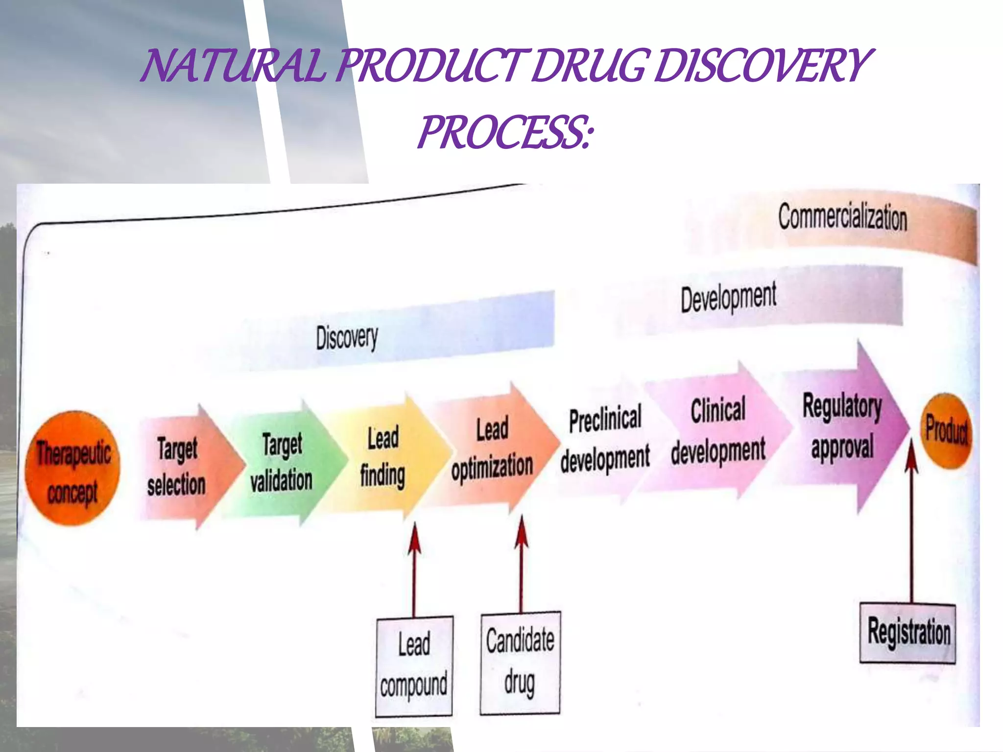 Natural products in drug discovery | PPTX