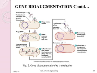 GENE BIOAUGMENTATION Contd…
5-Dec-19 Dept. of civil engineering 18
Fig. 2. Gene bioaugmentation by transduction
 