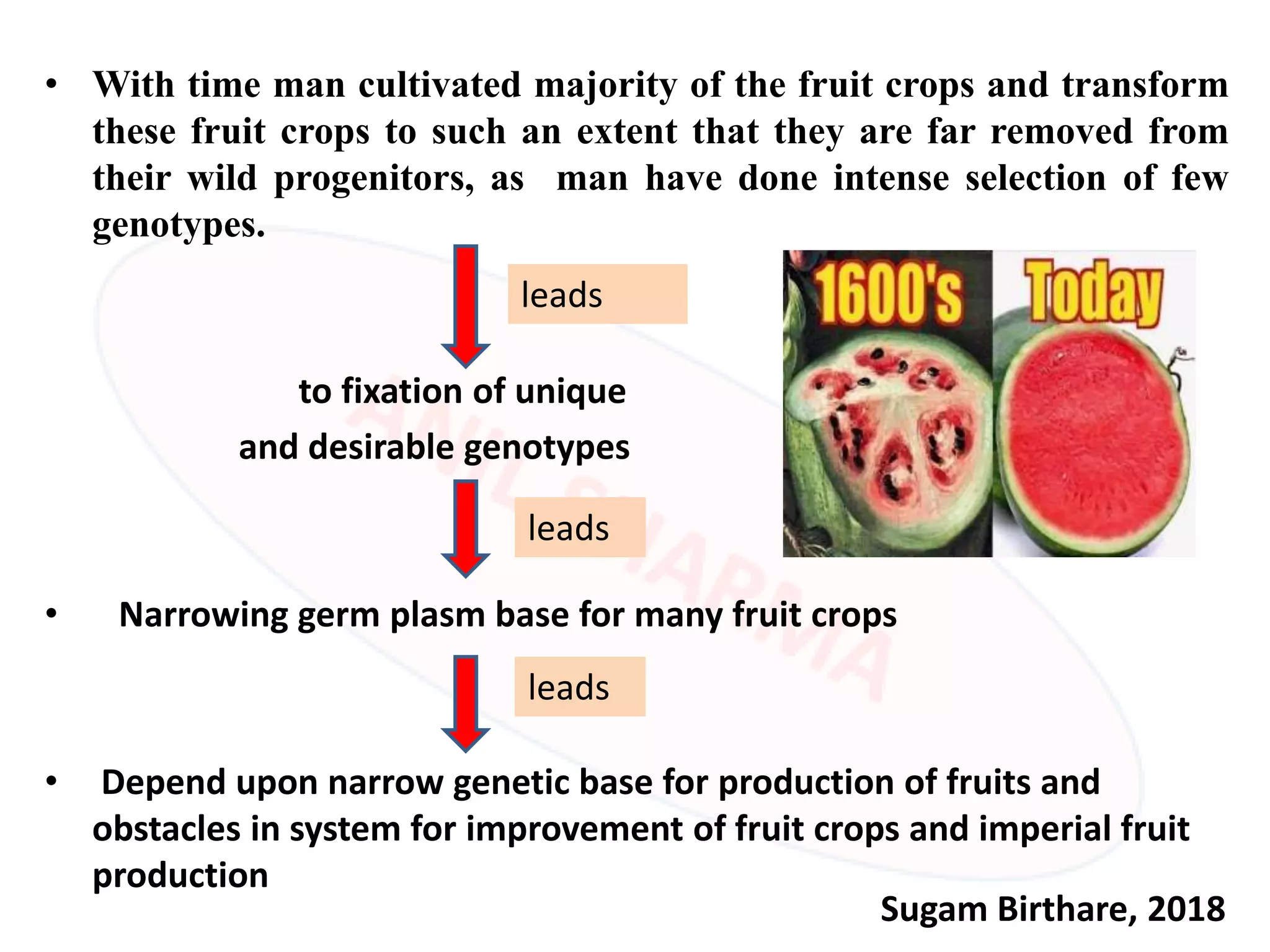 Biotechnological interventions for fruit crops improvement | PPTX