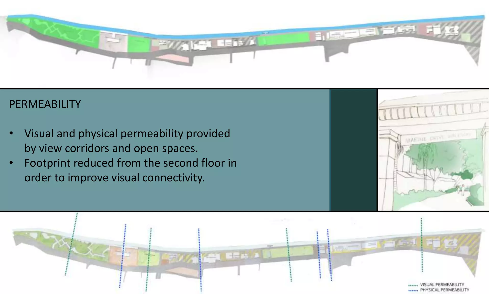 PERMEABILITY
• Visual and physical permeability provided
by view corridors and open spaces.
• Footprint reduced from the second floor in
order to improve visual connectivity.
 