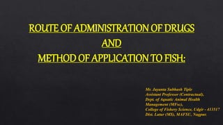 ROUTE OF ADMINISTRATION OF DRUGS
AND
METHOD OF APPLICATION TO FISH:
Mr. Jayanta Subhash Tiple
Assistant Professor (Contractual),
Dept. of Aquatic Animal Health
Management (MFsc),
College of Fishery Science, Udgir - 413517
Dist. Latur (MS), MAFSU, Nagpur.
 