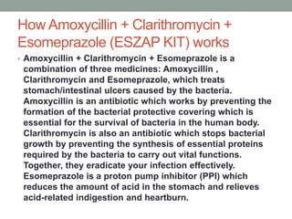 How Amoxycillin + Clarithromycin +
Esomeprazole (ESZAP KIT) works
• Amoxycillin + Clarithromycin + Esomeprazole is a
combination of three medicines: Amoxycillin ,
Clarithromycin and Esomeprazole, which treats
stomach/intestinal ulcers caused by the bacteria.
Amoxycillin is an antibiotic which works by preventing the
formation of the bacterial protective covering which is
essential for the survival of bacteria in the human body.
Clarithromycin is also an antibiotic which stops bacterial
growth by preventing the synthesis of essential proteins
required by the bacteria to carry out vital functions.
Together, they eradicate your infection effectively.
Esomeprazole is a proton pump inhibitor (PPI) which
reduces the amount of acid in the stomach and relieves
acid-related indigestion and heartburn.
 