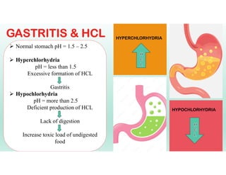 Hyperchlorhydria Management of Amlapitta w.s.r to Gastritis | PDF