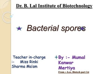 Dr. B. Lal Institute of Biotechnology
Bacterial spores
By :- Mumal
Kanwar
Mertiya
From :- b.sc. Biotech part 1st
Teacher in-charge
:- Miss Rinki
Sharma Ma’am
 