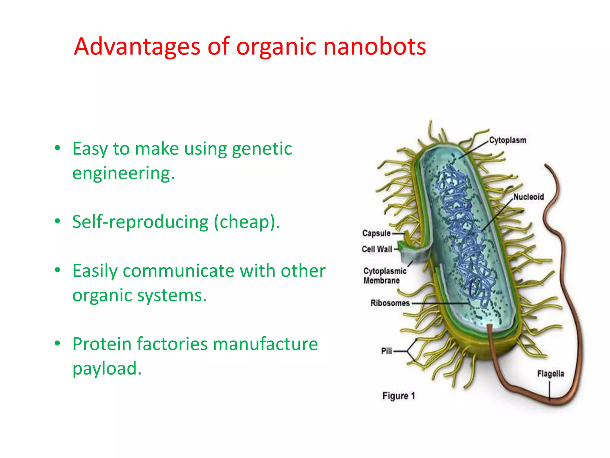 Advantages of organic nanobots
• Easy to make using genetic
engineering.
• Self-reproducing (cheap).
• Easily communicate with other
organic systems.
• Protein factories manufacture
payload.
 