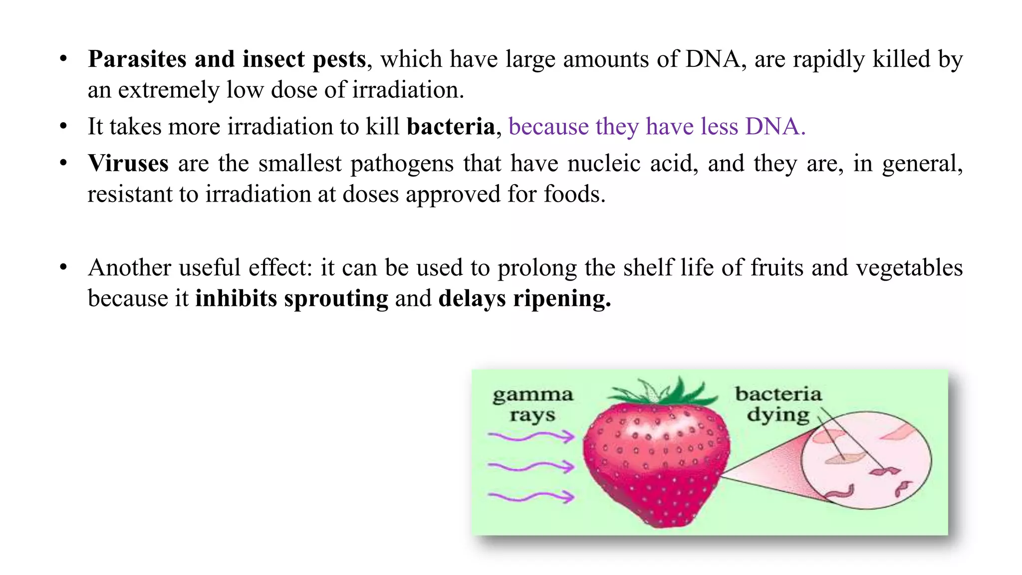 • Parasites and insect pests, which have large amounts of DNA, are rapidly killed by
an extremely low dose of irradiation.
• It takes more irradiation to kill bacteria, because they have less DNA.
• Viruses are the smallest pathogens that have nucleic acid, and they are, in general,
resistant to irradiation at doses approved for foods.
• Another useful effect: it can be used to prolong the shelf life of fruits and vegetables
because it inhibits sprouting and delays ripening.
 