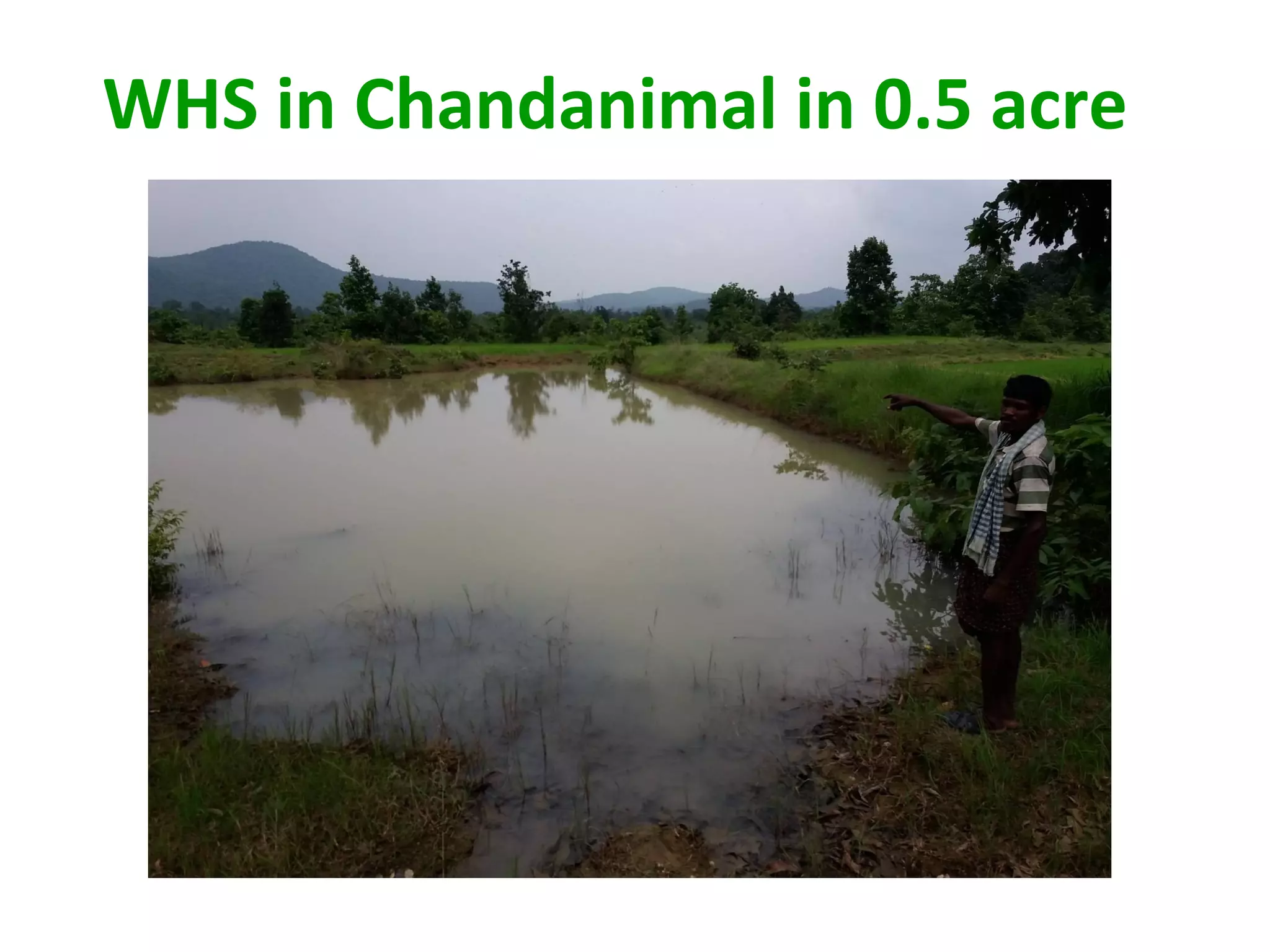 Marginalization of Tribal People of Western Odisha and their Organized ...