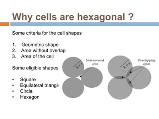 Why cells are hexagonal ?
Some criteria for the cell shapes

1.   Geometric shape
2.   Area without overlap
3.   Area of the cell

Some eligible shapes

•    Square
•    Equilateral triangle
•    Circle
•    Hexagon
 
