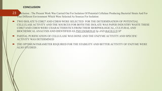 final ppt (1).pptx