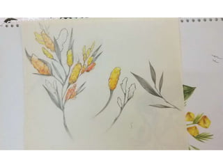 [색채] Final ppt 1214384 이종은