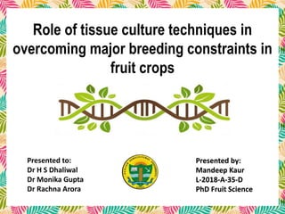 M K Saini
1
Presented by:
Mandeep Kaur
L-2018-A-35-D
PhD Fruit Science
Role of tissue culture techniques in
overcoming major breeding constraints in
fruit crops
Presented to:
Dr H S Dhaliwal
Dr Monika Gupta
Dr Rachna Arora
 