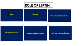 Role of leptin in reproduction in animals | PPTX