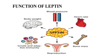 Role of leptin in reproduction in animals | PPTX