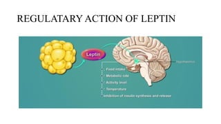 Role of leptin in reproduction in animals | PPTX