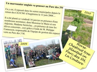 Un marronnier anglais va pousser au Parc des 3MCa y est, il reposait dans les serres municipales depuis le retour des CE2/CM1 d'Angleterre le 13 juin 2008....Il a été planté ce vendredi 16 janvier en présence d'une nombreuse assistance, dont Monsieur le Maire et son Adjointe, Madame Serniclay....en présence de tous les élèves concernés...ceci grâce à l'aide de M. Philippe Cannesson, responsable de l'équipe de gestion des espaces verts au Parc des 3 M. 20102009Horse Chestnut tree planted in Parc des 3M, La Couture