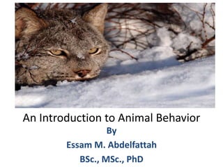 An Introduction to Animal Behavior
By
Essam M. Abdelfattah
BSc., MSc., PhD
 