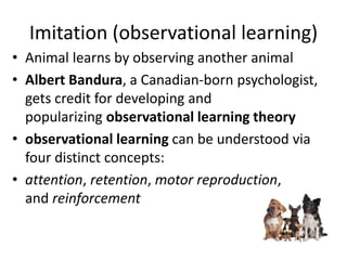 Final ppt Animal Behavior 2014 first term.ppt