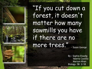 “If you cut down a
forest, it doesn't
matter how many
sawmills you have
if there are no
more trees.” ~ Susan George
By : Sophia Elsadig
Valeria Castillo
Marium Khan
Biology- 5B 2/18
 