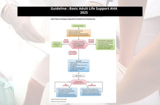 Comprehensive Basic Life Support (BLS) and Emergency Cardiac Care ...