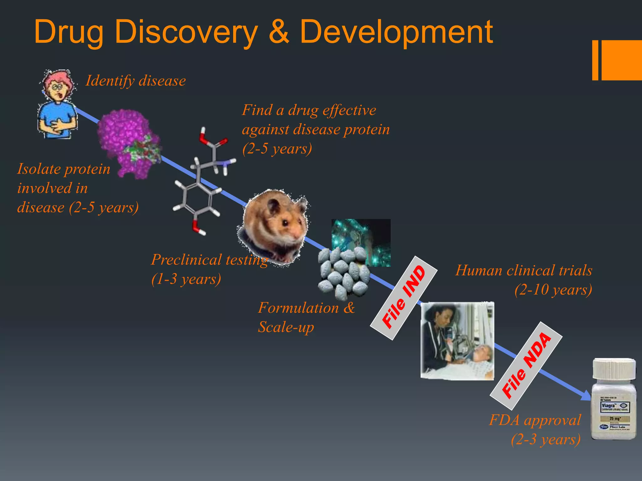 Drug Discovery & Development
Identify disease
Isolate protein
involved in
disease (2-5 years)
Find a drug effective
against disease protein
(2-5 years)
Preclinical testing
(1-3 years)
Formulation &
Scale-up
Human clinical trials
(2-10 years)
FDA approval
(2-3 years)
 
