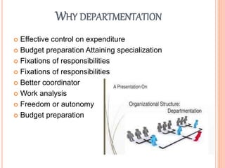 departmentalisation departmentation (organising) | PPTX