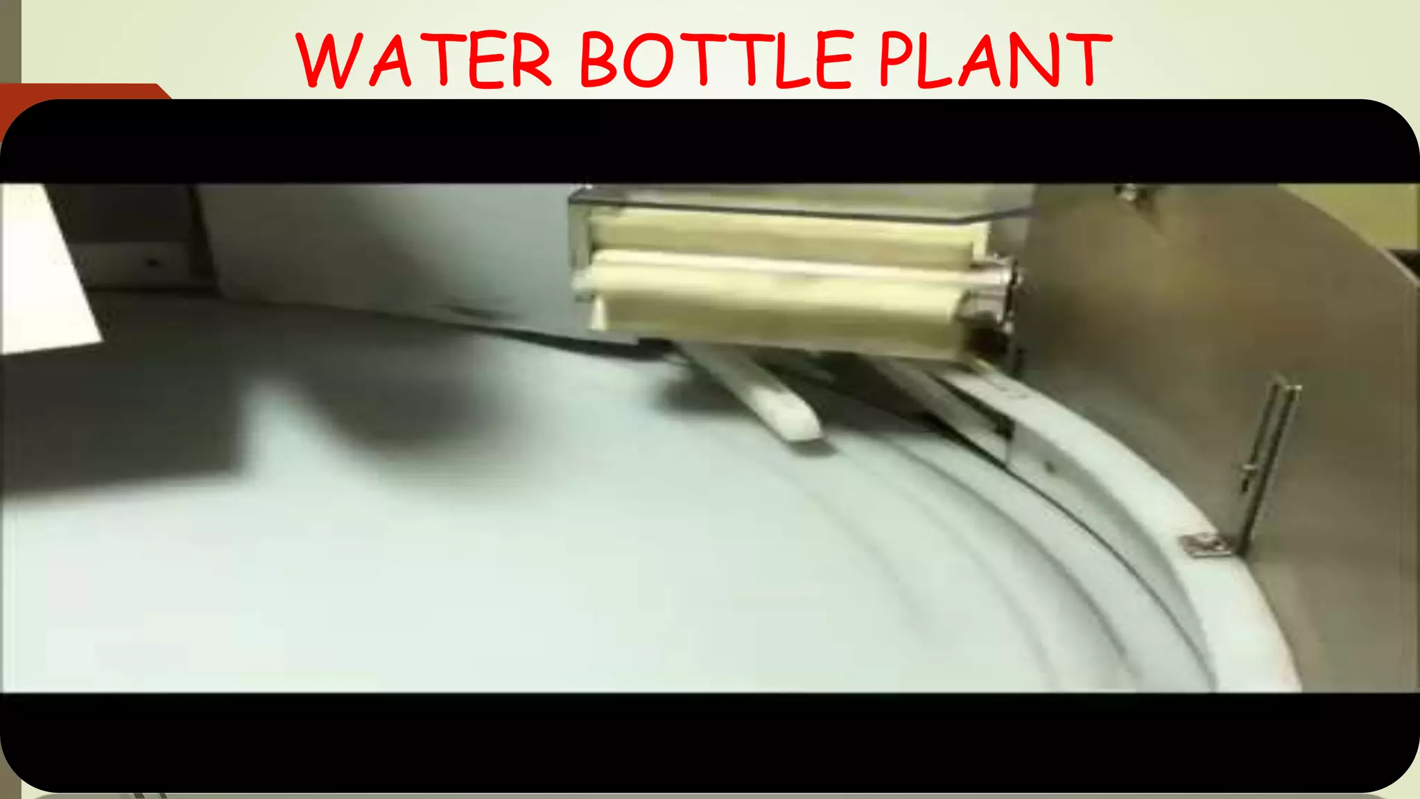 WATER BOTTLE PLANT
 