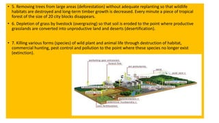 • 5. Removing trees from large areas (deforestation) without adequate replanting so that wildlife
habitats are destroyed and long-term timber growth is decreased. Every minute a piece of tropical
forest of the size of 20 city blocks disappears.
• 6. Depletion of grass by livestock (overgrazing) so that soil is eroded to the point where productive
grasslands are converted into unproductive land and deserts (desertification).
• 7. Killing various forms (species) of wild plant and animal life through destruction of habitat,
commercial hunting, pest control and pollution to the point where these species no longer exist
(extinction).
 