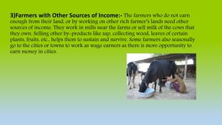 3)Farmers with Other Sources of Income:- The farmers who do not earn
enough from their land, or by working on other rich farmer’s lands need other
sources of income. They work in mills near the farms or sell milk of the cows that
they own. Selling other by-products like sap, collecting wood, leaves of certain
plants, fruits, etc., helps them to sustain and survive. Some farmers also seasonally
go to the cities or towns to work as wage earners as there is more opportunity to
earn money in cities.
 