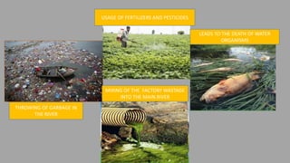 THROWING OF GARBAGE IN
THE RIVER
USAGE OF FERTILIZERS AND PESTICIDES
MIXING OF THE FACTORY WASTAGE
INTO THE MAIN RIVER
LEADS TO THE DEATH OF WATER
ORGANISMS
 