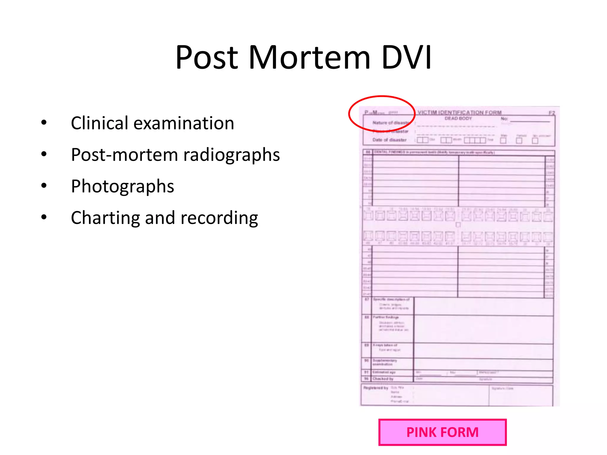 Dental Detectives - Forensic Odontology | PPTX