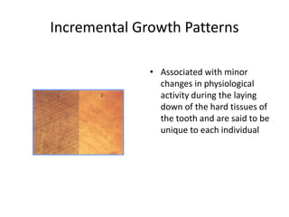 Incremental Growth Patterns
• Associated with minor
changes in physiological
activity during the laying
down of the hard tissues of
the tooth and are said to be
unique to each individual
 