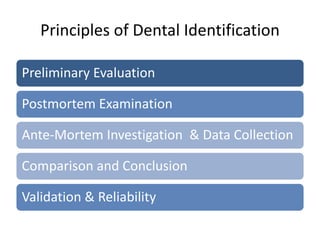 Principles of Dental Identification
Preliminary Evaluation
Postmortem Examination
Ante-Mortem Investigation & Data Collection
Comparison and Conclusion
Validation & Reliability
 