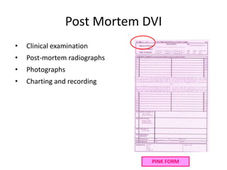 Post Mortem DVI
• Clinical examination
• Post-mortem radiographs
• Photographs
• Charting and recording
PINK FORM
 