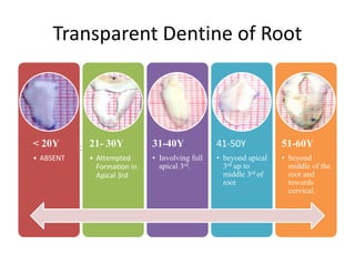 Below 20 years 21 – 30 years 31 – 40 years
Transparent Dentine of Root
< 20Y
• ABSENT
21- 30Y
• Attempted
Formation in
Apical 3rd
31-40Y
• Involving full
apical 3rd.
41-50Y
• beyond apical
3rd up to
middle 3rd of
root
51-60Y
• beyond
middle of the
root and
towards
cervical.
 