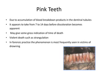 Pink Teeth
• Due to accumulation of blood breakdown products in the dentinal tubules
• It appears to take from 7 to 14 days before discoloration becomes
apparent
• May give some gross indication of time of death
• Violent death such as strangulation
• In forensic practice the phenomenon is most frequently seen in victims of
drowning
 
