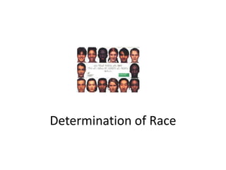 Determination of Race
 