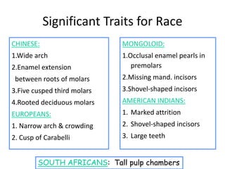 CHINESE:
1.Wide arch
2.Enamel extension
between roots of molars
3.Five cusped third molars
4.Rooted deciduous molars
EUROPEANS:
1. Narrow arch & crowding
2. Cusp of Carabelli
MONGOLOID:
1.Occlusal enamel pearls in
premolars
2.Missing mand. incisors
3.Shovel-shaped incisors
AMERICAN INDIANS:
1. Marked attrition
2. Shovel-shaped incisors
3. Large teeth
SOUTH AFRICANS: Tall pulp chambers
Significant Traits for Race
 