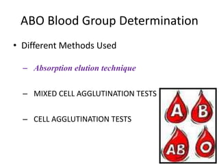 ABO Blood Group Determination
• Different Methods Used
– Absorption elution technique
– MIXED CELL AGGLUTINATION TESTS
– CELL AGGLUTINATION TESTS
 