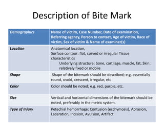 Description of Bite Mark
Demographics Name of victim, Case Number, Date of examination,
Referring agency, Person to contact, Age of victim, Race of
victim, Sex of victim & Name of examiner(s)
Location Anatomical location,
Surface contour: flat, curved or irregular Tissue
characteristics
Underlying structure: bone, cartilage, muscle, fat, Skin:
relatively fixed or mobile
Shape Shape of the bitemark should be described; e.g. essentially
round, ovoid, crescent, irregular, etc
Color Color should be noted; e.g. red, purple, etc.
Size Vertical and horizontal dimensions of the bitemark should be
noted, preferably in the metric system.
Type of Injury Petechial hemorrhage: Contusion (ecchymosis), Abrasion,
Laceration, Incision, Avulsion, Artifact
 
