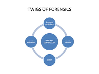 TWIGS OF FORENSICS
FORENSIC
ODONTOLOGY
Forensic
pathology
Forensic
toxicology
Wildlife
forensics
Forensic
Anthropology
 